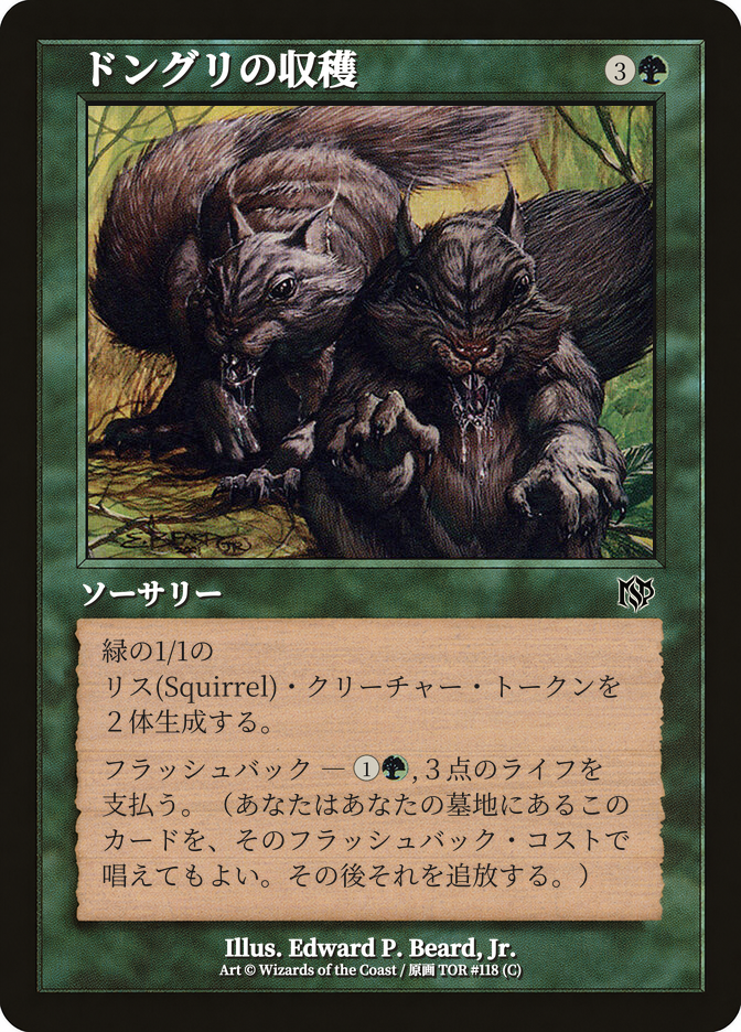 ドングリの収穫