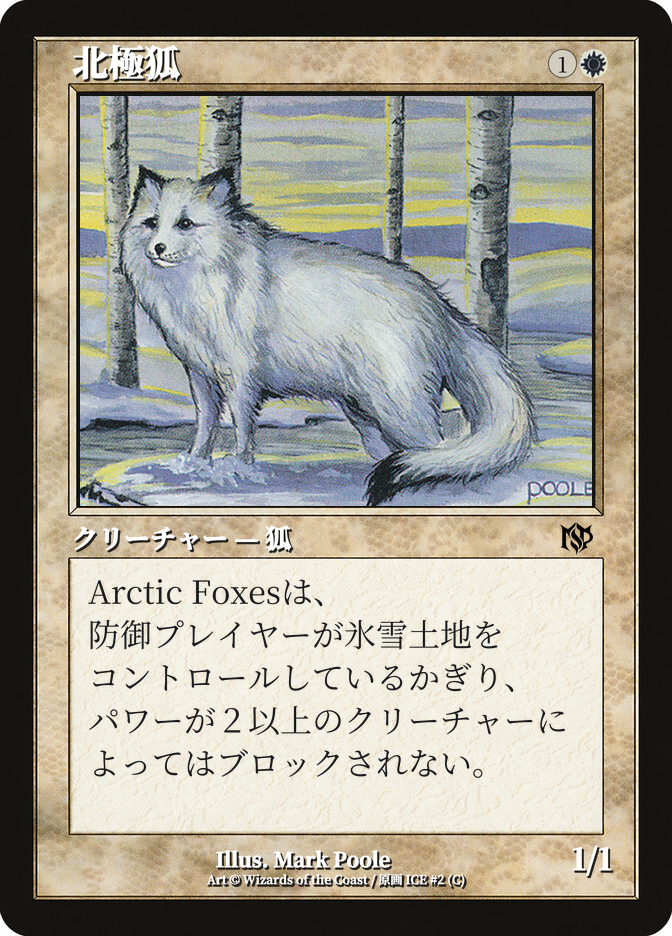 北極狐