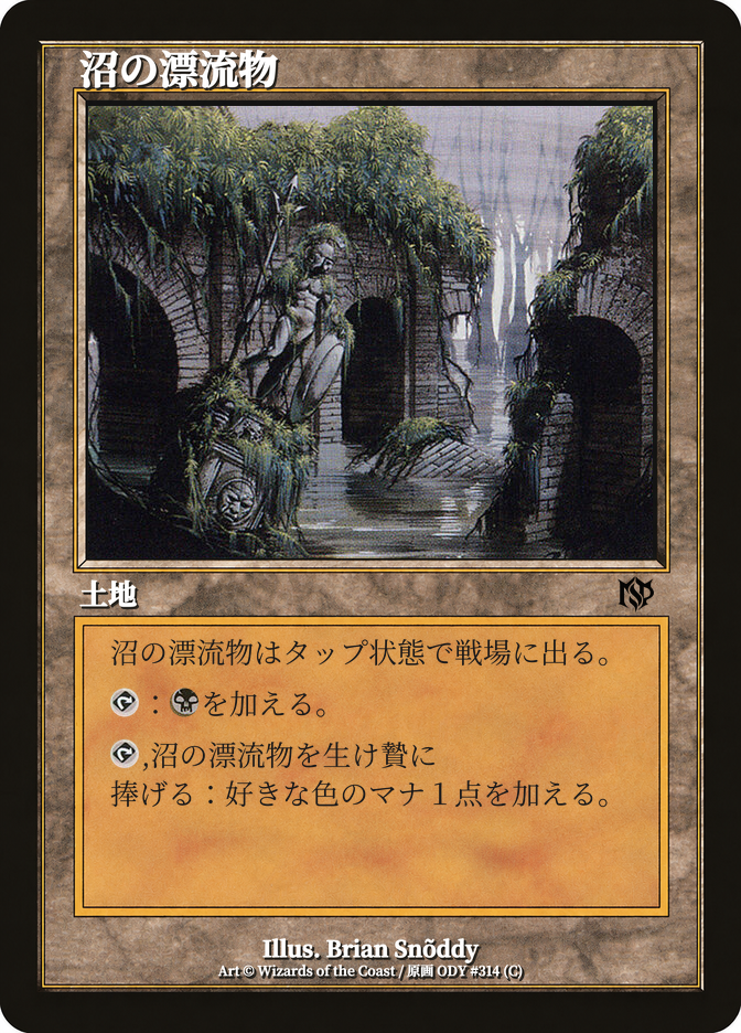 沼の漂流物