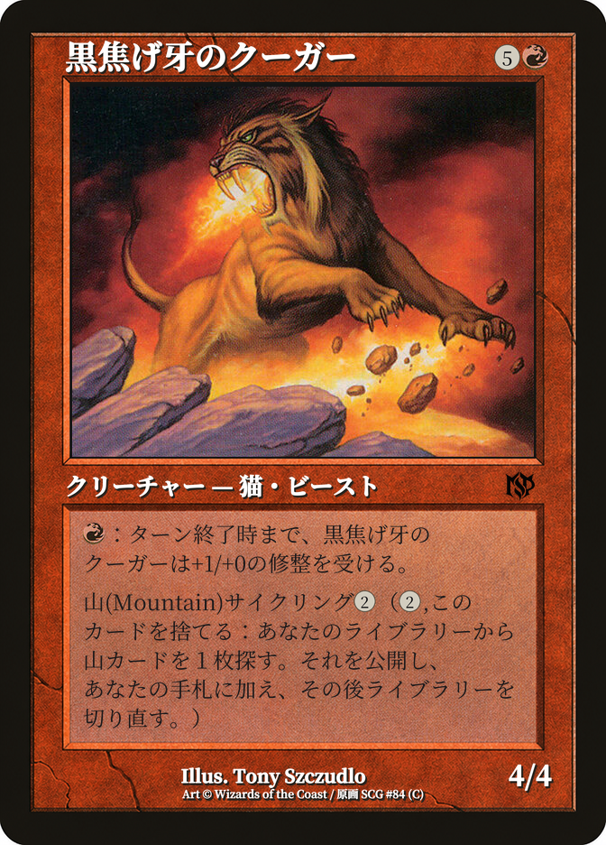 Chartooth Cougar