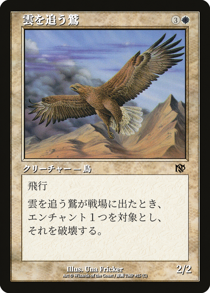 雲を追う鷲