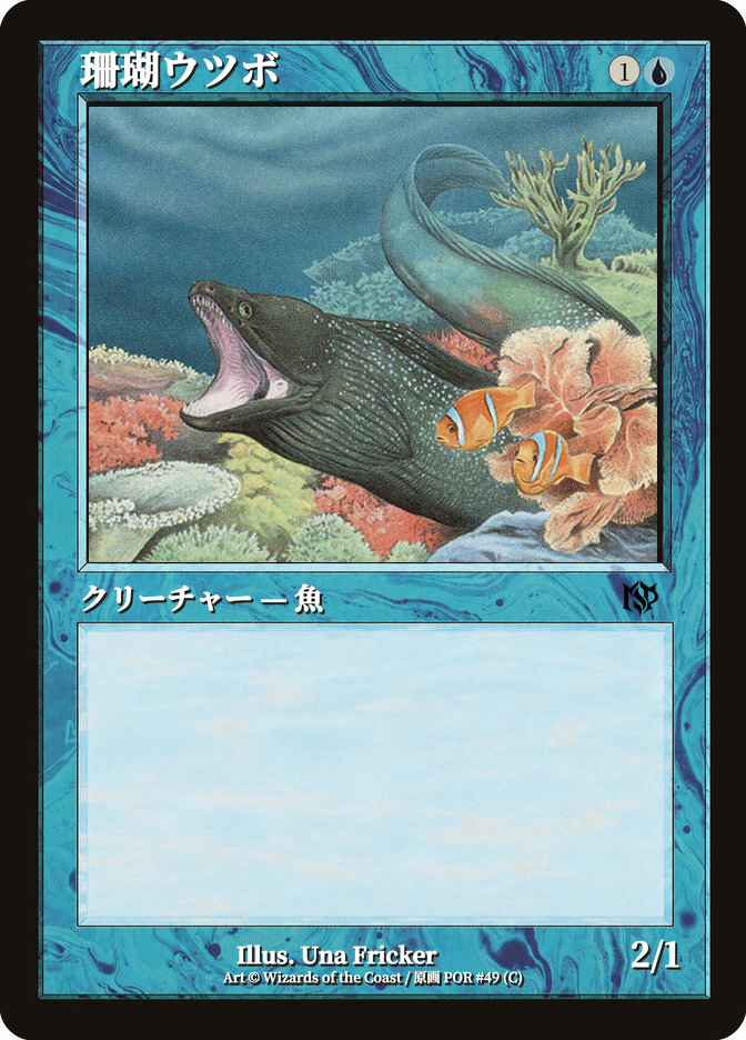 珊瑚ウツボ