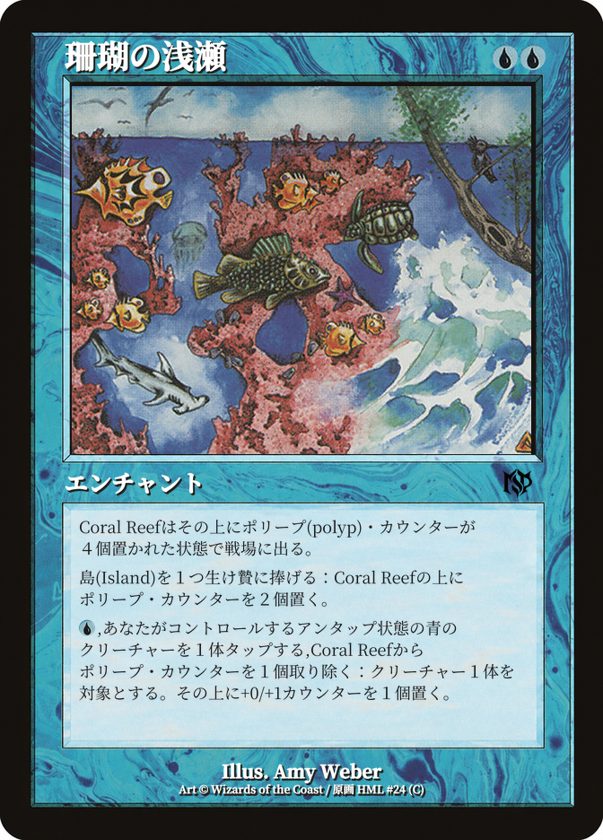 珊瑚の浅瀬
