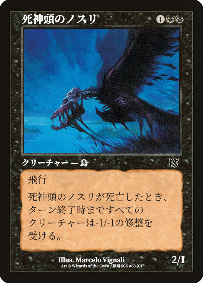 死神頭のノスリ
