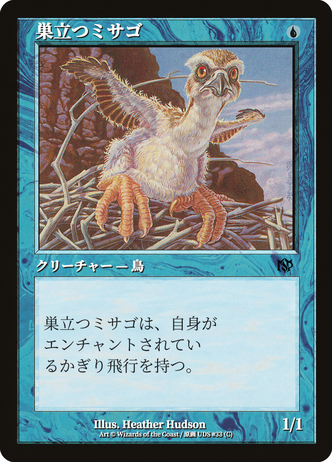 巣立つミサゴ