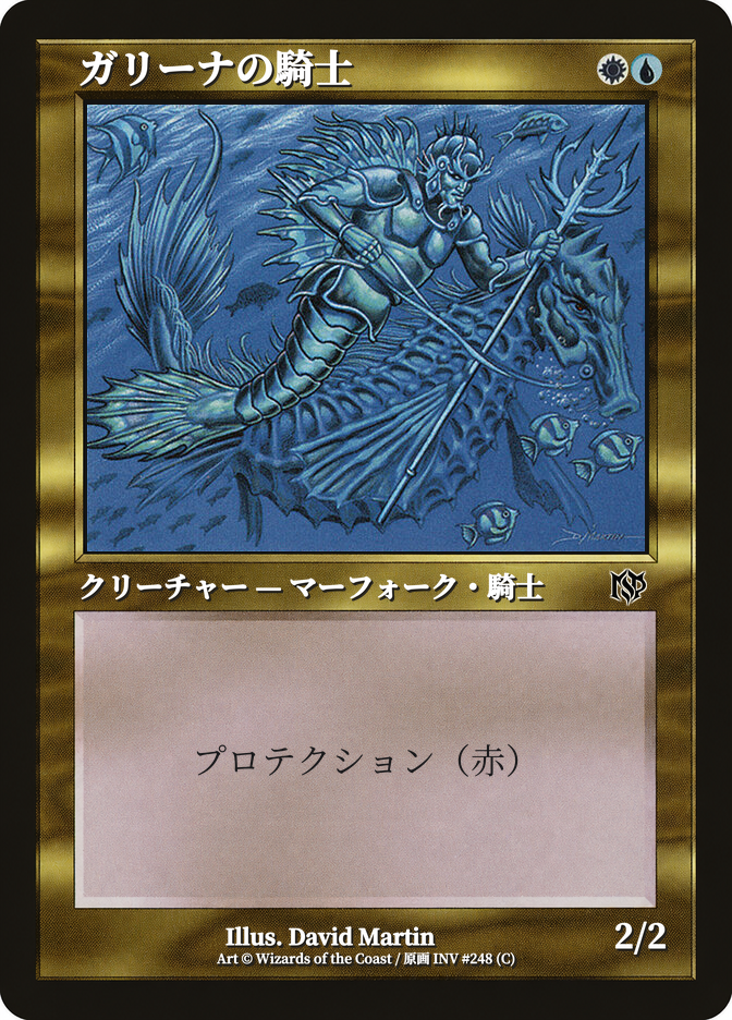 ガリーナの騎士