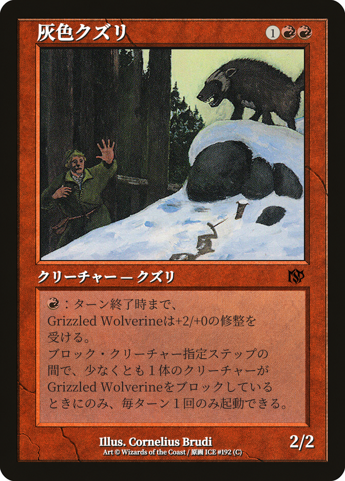 灰色クズリ