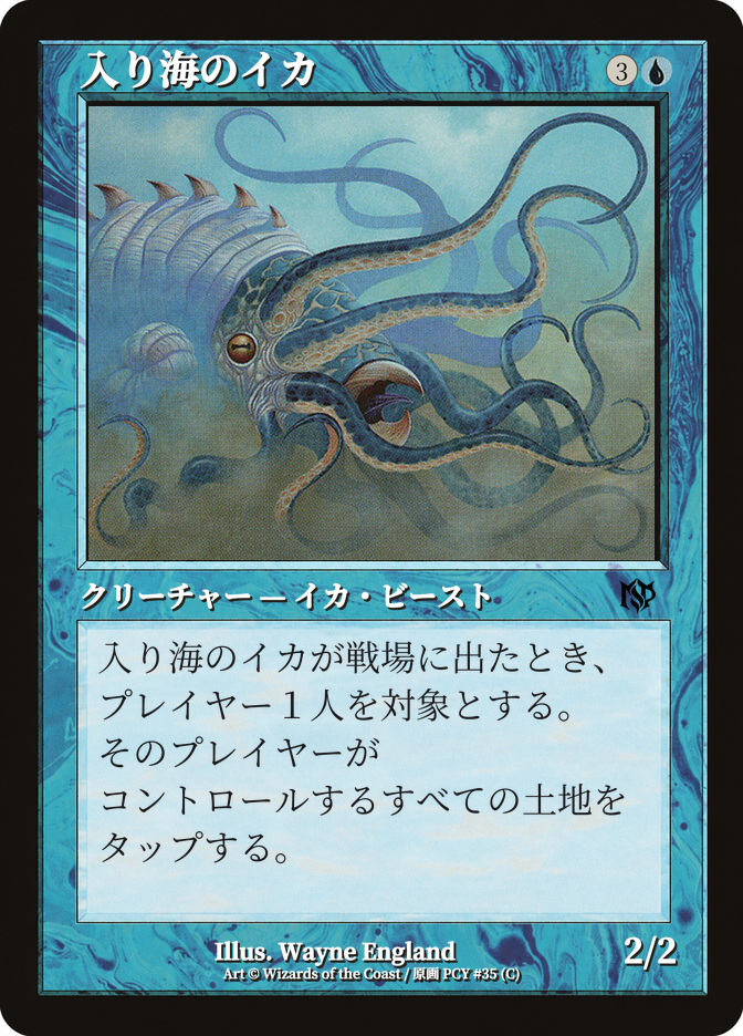 入り海のイカ