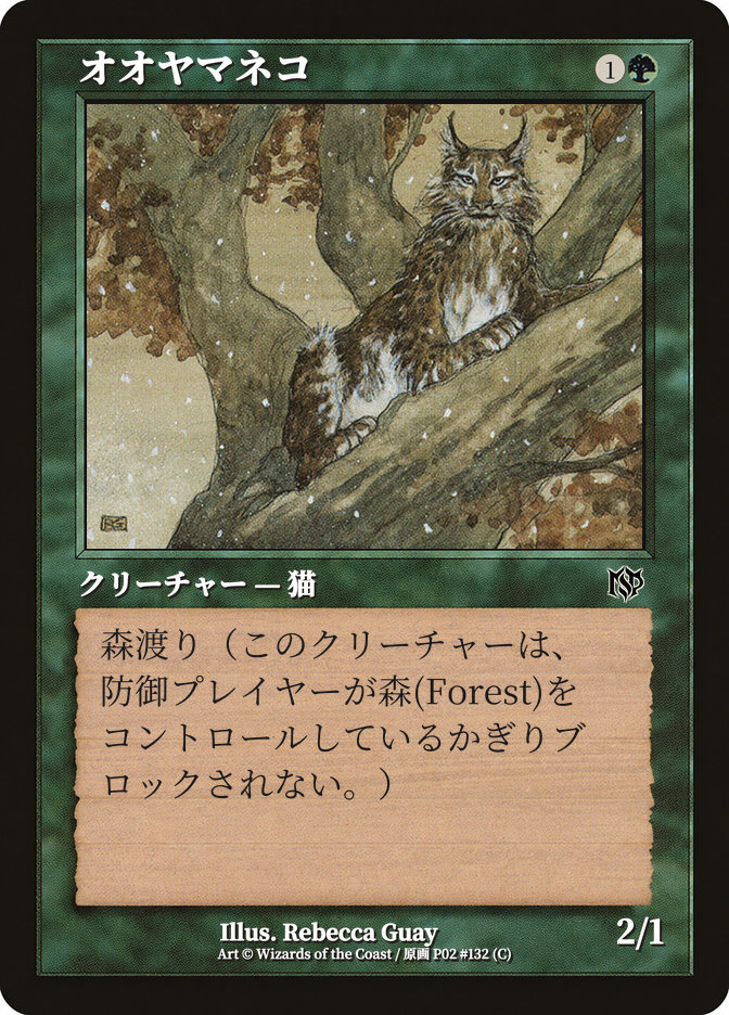 オオヤマネコ