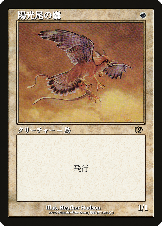 陽光尾の鷹