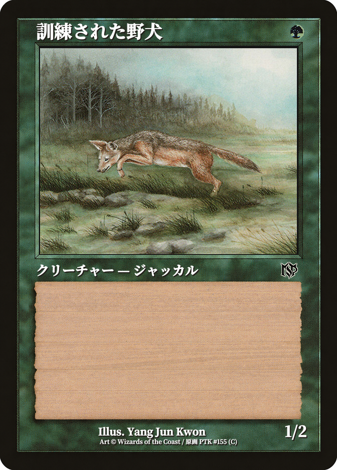 訓練された野犬
