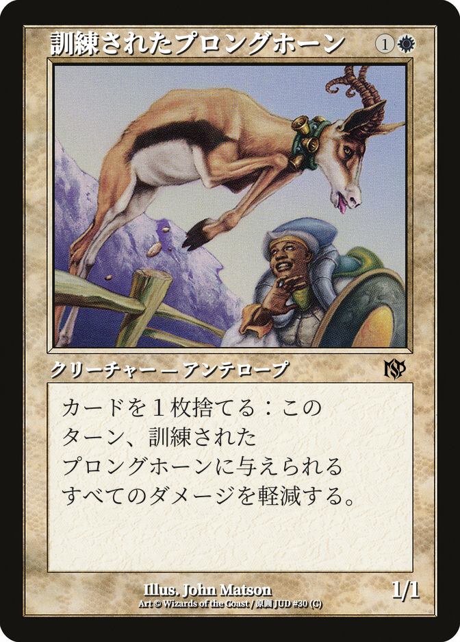 訓練されたプロングホーン
