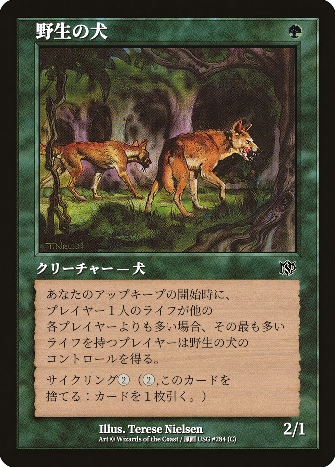野生の犬