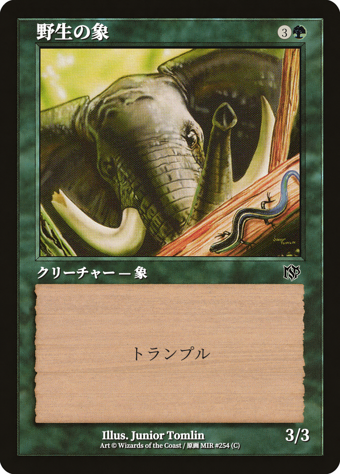 野生の象