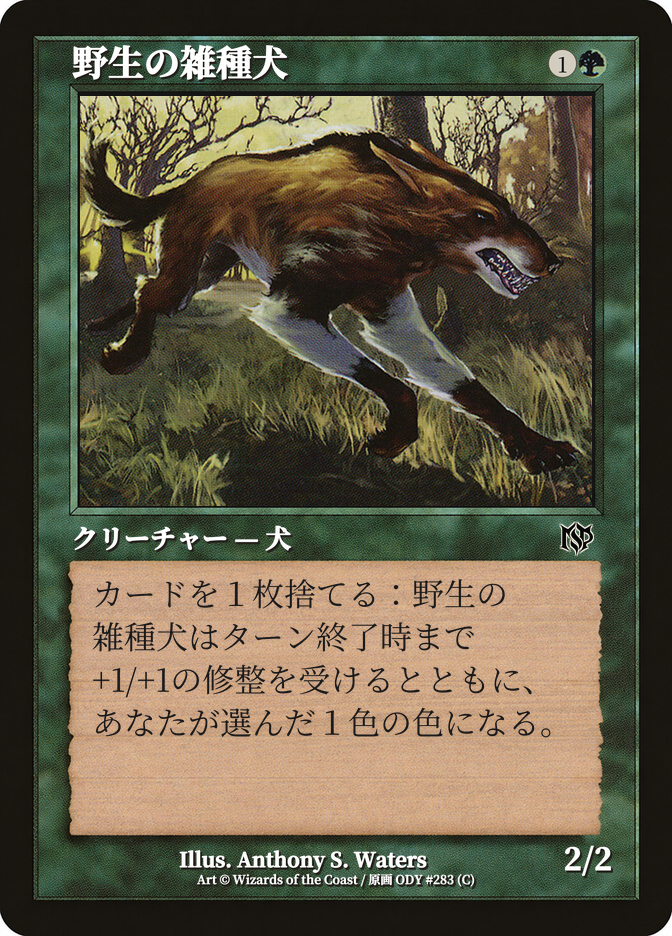 Wild Mongrel